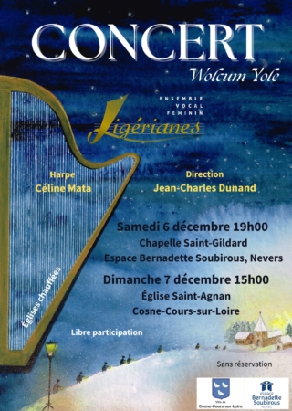 affiche concert noel